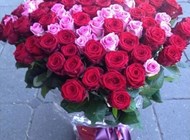 100 smukke roser